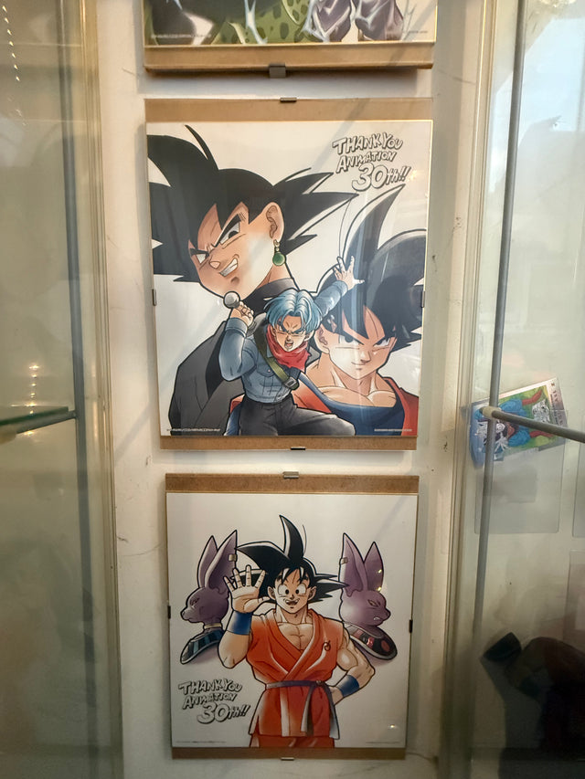 Collezione Shikishi 30th – foto 11