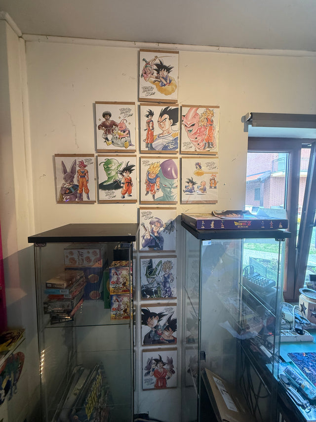 Collezione Shikishi 30th – foto 3