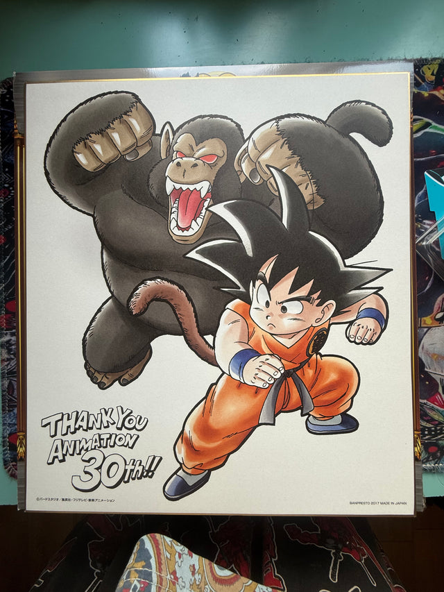 Collezione Shikishi 30th – foto 4