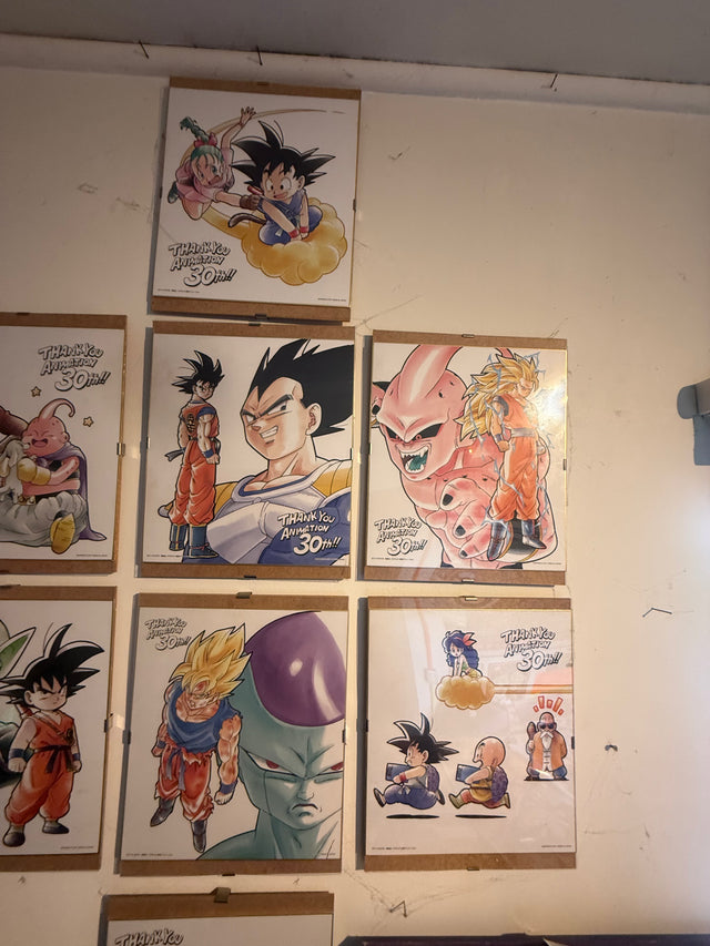 Collezione Shikishi 30th – foto 7