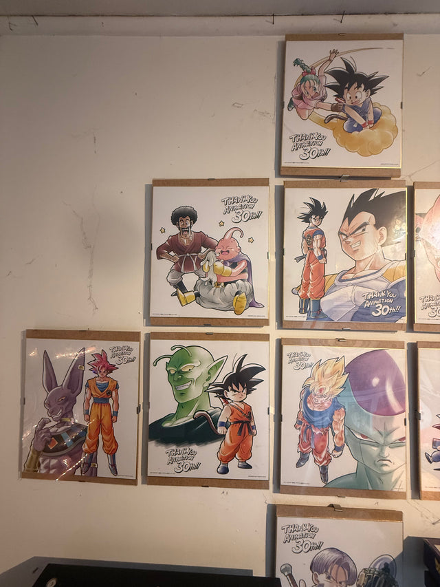Collezione Shikishi 30th – foto 8