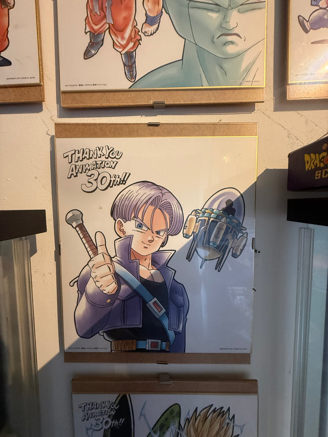 Collezione Shikishi 30th – foto 9