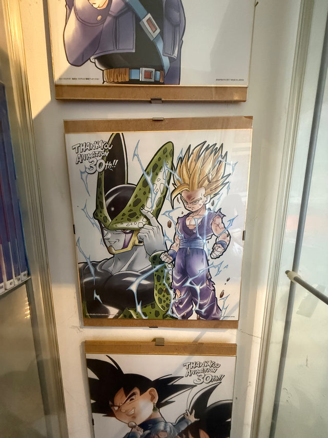 Collezione Shikishi 30th – foto 10