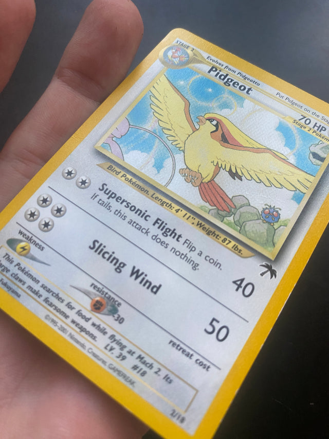 PIDGEOT SOUTHERN ISLAND GOOD + ENG – Pokémon – foto 3